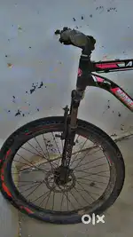 New  fat bike with double disbrake