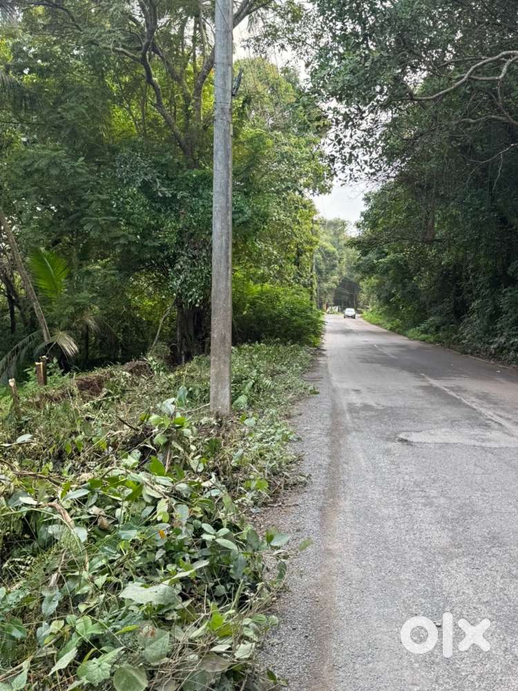 900sqm orchard Main road touch property