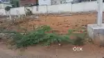 Villa plot for sale