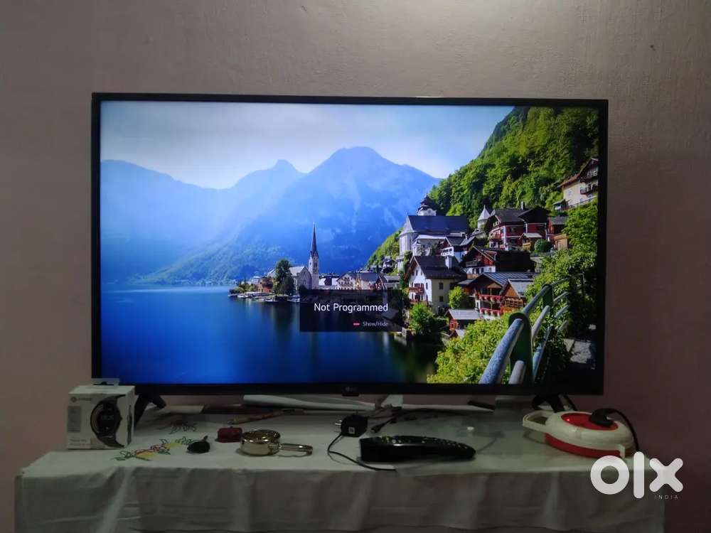 Television & refrigerator