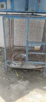 Big Cage for pets