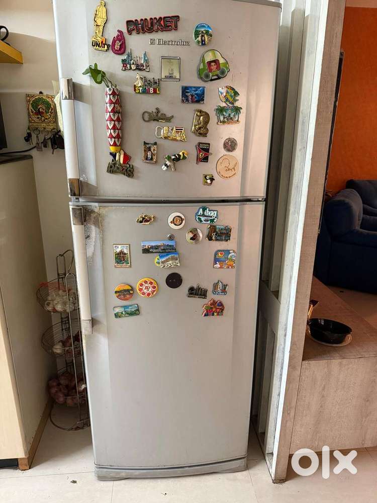 445 2 Door Electrolux Refrigerator