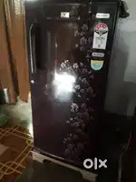 Single door fridge