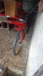 Best cycle