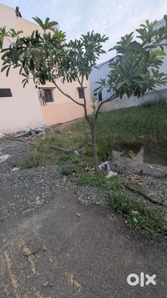 Prime location on Koodalnagar 1sr Street