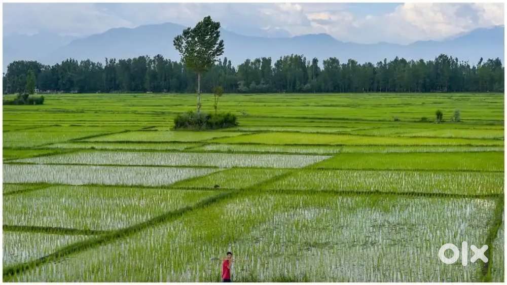 Kisi ke pass Agar kheti karne ke liye jameen ho to mujhe bataiye Mai.