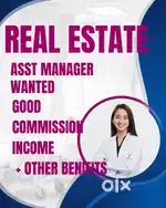 Real estate bussiness assistant  wanted on commission Basis