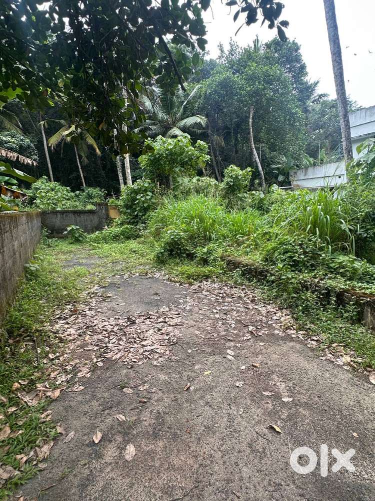 THIRUMALA 5.5 CENTS RESIDENTIAL PLOT FOR SALE