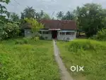 A big plot Is Going To Sell.