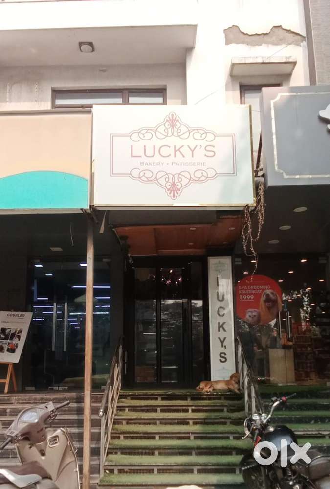 Bakery Store Manager - Punjabi Bagh West