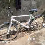 Sele for the my cycle