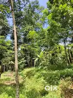 50 cent land forsale in kattakada poovachal.