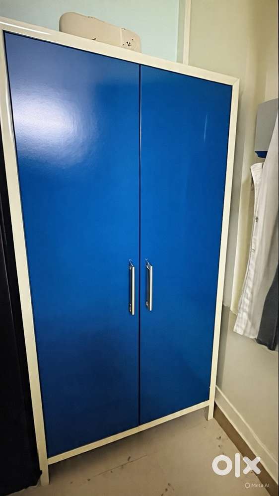 A well maintained Dual tone Steel Almirah