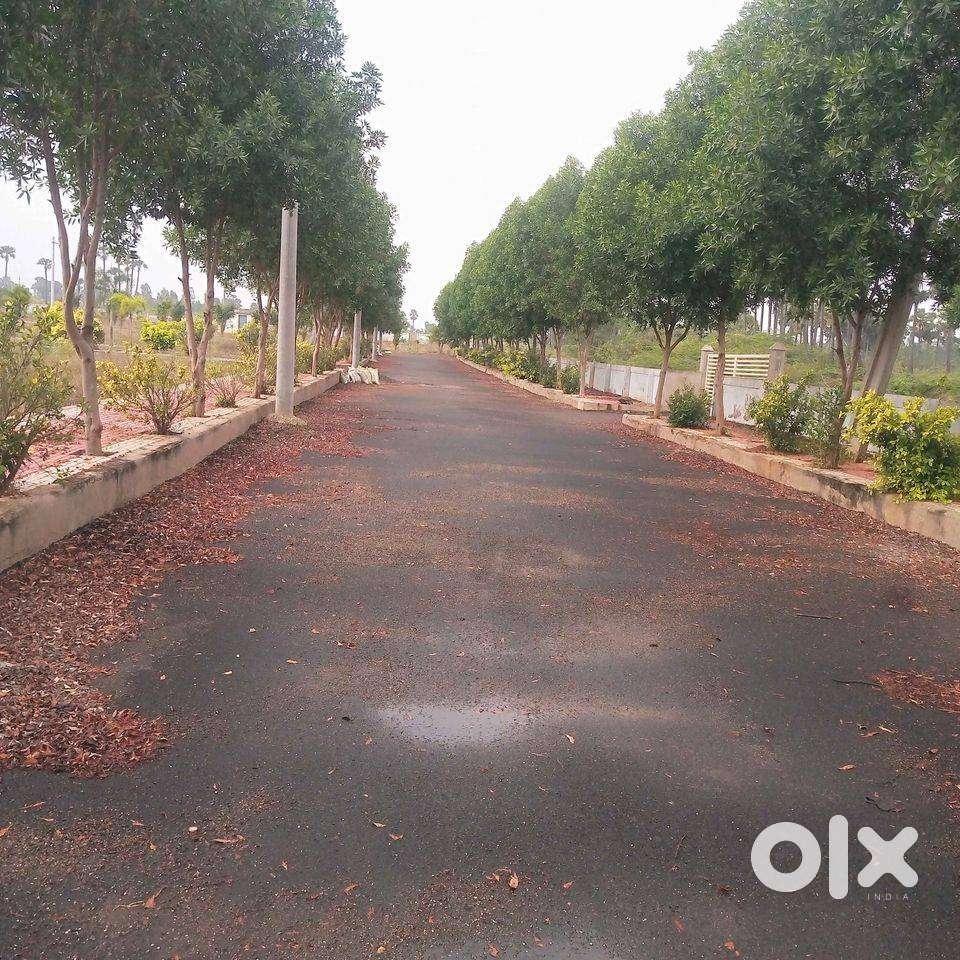 Premium villa plots in TAGARAPUVALASA 150 mtr from National Highway