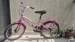 Pink Colour Cycle