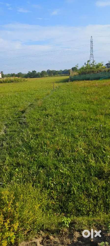 2 bigha myadi patta land available near Mystique Mayong eco resort