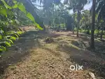 House plot for sale