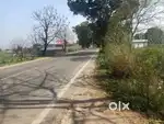 120 marla (6kanal) farm house land near main road