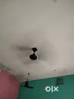 4 working fan of Crompton and cinni brands