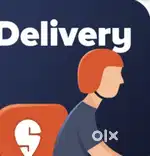 Grocery Swiggy delivery boy