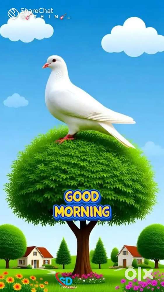 Comercial.and.houseplot