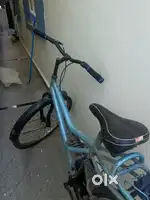 2 year old