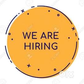 It software Engineer freshers and experienced time pass candidates no