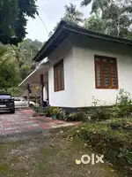 Lands with houses at Munnar, cardamam platations and pepper platations