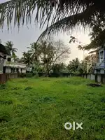 Aluva kadugalor main rod frndage 10 cent commercial  plot  sael