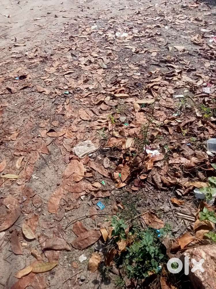10 cent plot near puthiyangadi calicut