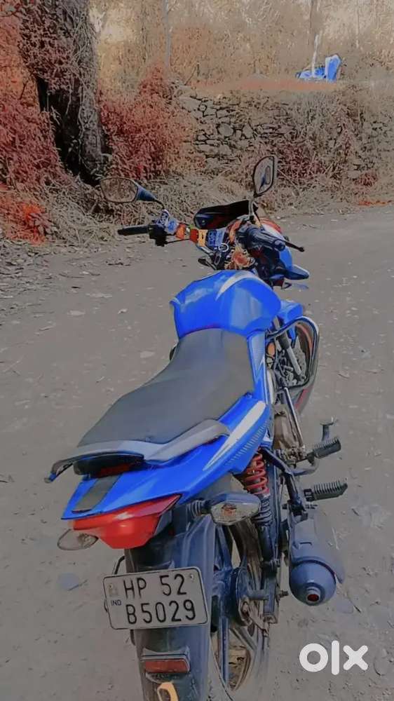 2033 TK paas oll ducoment cmplet