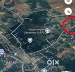 1.5 katha Myadi land  for sale at Naojan , Golaghat