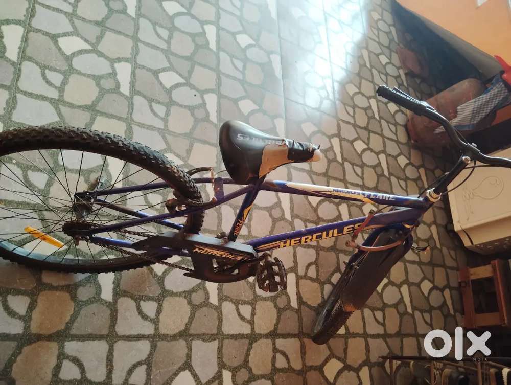 Cycle was 1yrs old