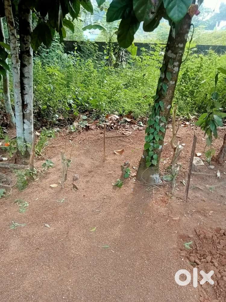 It's my own land for sale per cent 200000 total cent 9