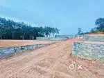 5,6,7,8 cents square plot pothencode vavarambalam 500 mtr main road