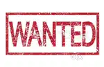 Job vacancy for Faculty Animation .