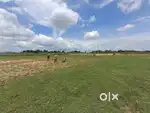 Land for investment