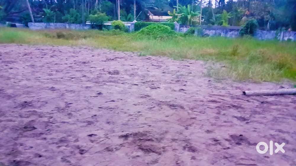 ചേർത്തല മനോരമ്മ ജംഗ്ഷൻ 500 മീറ്റർ സെന്റ് 5 20 ലക്ഷം