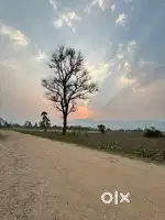 Tpoint 27  bigha plot for sale contact me per gaj rate 27000 rupa