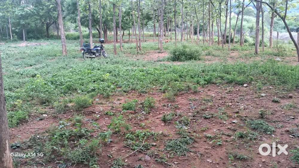 madurai keelamathur pulluthu Land sale. 1cent .3.70,lak