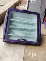 મારે આવું ફ્રિજ જોઈએ છે...