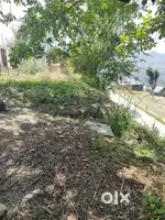 Multiple plot , 4 bigga , land for housing, gardening with road