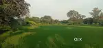 1.88 एकड़ कृषि/उद्योग हेतु भूमि तेतला में सड़क से लगा हुआ 60 लाख/एकड़