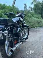 black horse