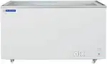 Ice Cream Fridge Glass Top 500 Lit Blue Star company