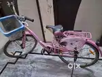 Silk Dew Pink Bicycle for girls and Women