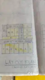 Narayanged, farming land