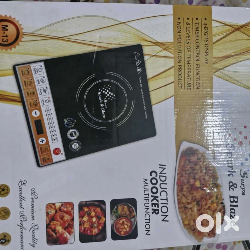 MULTIFUNCTION INDUCTION STOVE