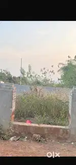 Plot for rent