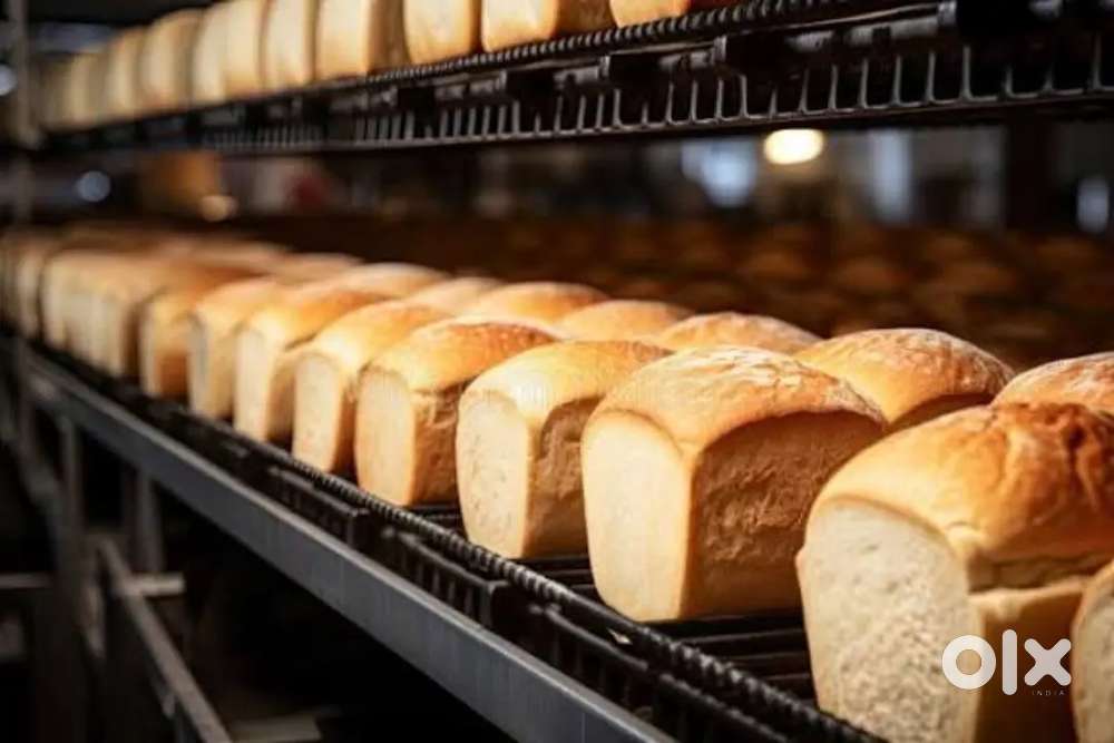 Wanted m/f packing helpers [ partime/ fulltime )